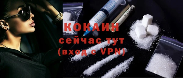 ПСИЛОЦИБИНОВЫЕ ГРИБЫ Магас