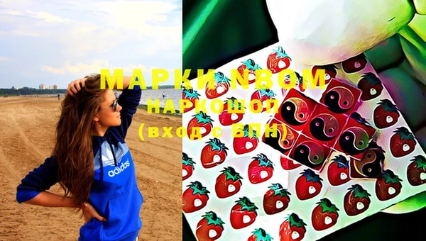 ПСИЛОЦИБИНОВЫЕ ГРИБЫ Магас